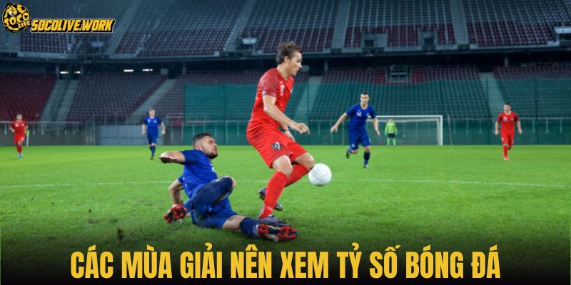 Các mùa giải nên xem tỷ số bóng đá