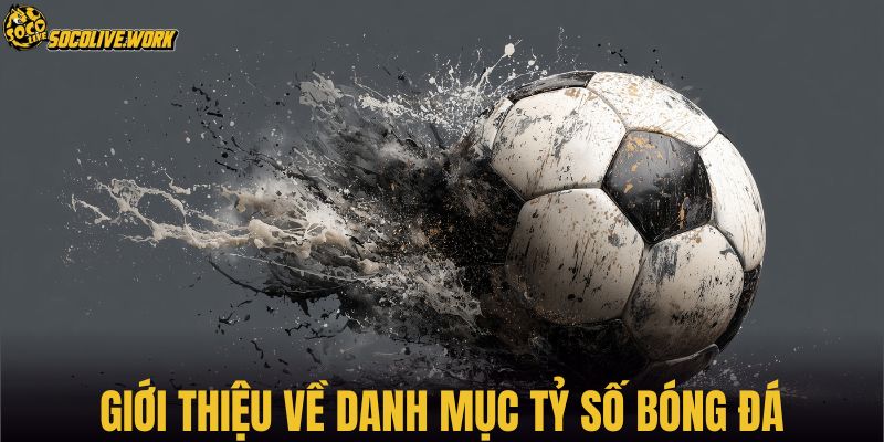 Giới thiệu về danh mục tỷ số bóng đá
